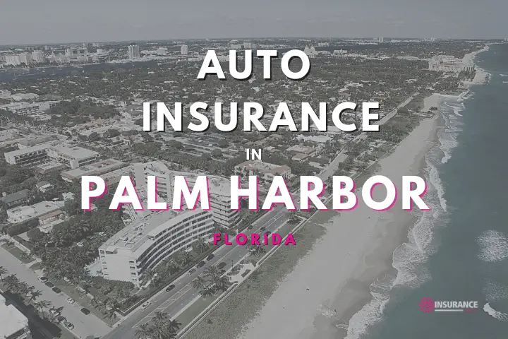 Palm Harbor Auto Insurance. Find Cheap Car Insurance in Palm Harbor, Florida.