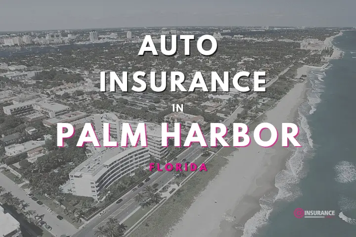 Cheap Car Insurance in Palm Harbor, Florida | Palm Harbor Auto Insurance Quote